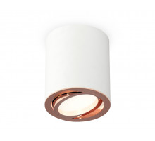 Потолочный светильник Ambrella Light Techno Spot XS7421004 (C7421, N7005)