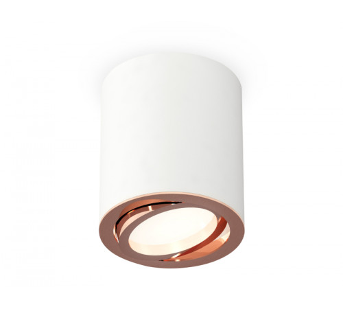 Потолочный светильник Ambrella Light Techno Spot XS7421004 (C7421, N7005) Потолочный светильник Ambrella Light Techno Spot XS7421004 (C7421, N7005)
