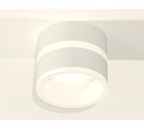 Потолочный светильник Ambrella Light Techno Spot XS8101019 (C8101, N8444) Потолочный светильник Ambrella Light Techno Spot XS8101019 (C8101, N8444)
