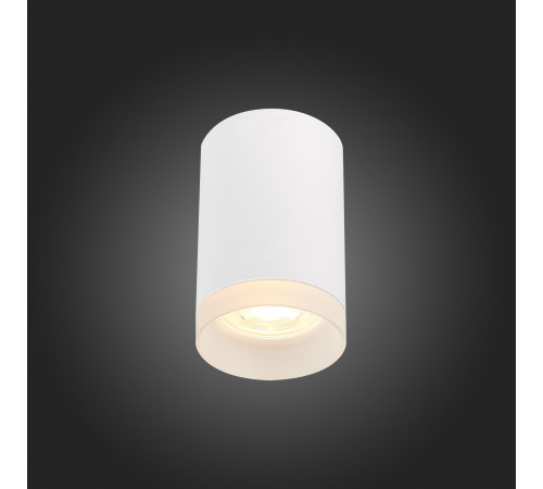 Накладной светильник ST Luce ST100 ST100.502.01 Накладной светильник ST Luce ST100 ST100.502.01