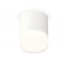 Потолочный светильник Ambrella Light Techno Spot XS7401043 (C7401, N7160)