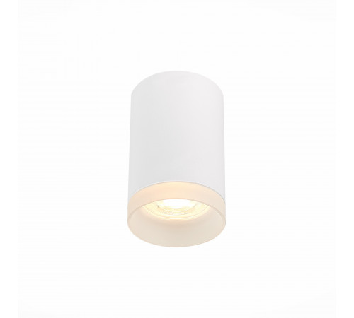 Накладной светильник ST Luce ST100 ST100.502.01 Накладной светильник ST Luce ST100 ST100.502.01