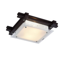 Потолочный светильник Arte Lamp 94 A6462PL-2CK