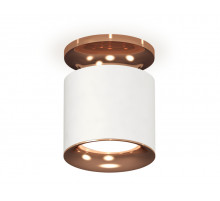 Накладной светильник Ambrella Light Techno XS7401142 (N7930, C7401, N7015)