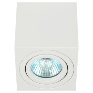 Накладной светильник Эра OL22 WH Б0054394
