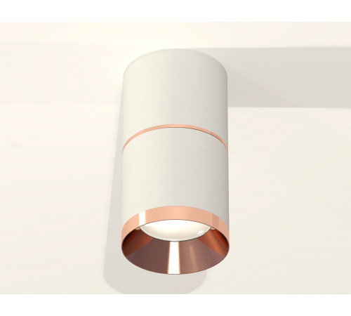 Потолочный светильник Ambrella Light Techno Spot XS7401221 (C7401, A2073, C7401, N7035) Потолочный светильник Ambrella Light Techno Spot XS7401221 (C7401, A2073, C7401, N7035)