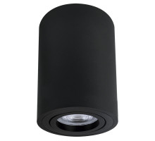 Накладной светильник Arte Lamp Sentry A1566PL-1BK