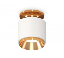 Потолочный светильник Ambrella Light Techno Spot XS7510120 (N7929, C7510, N7034)