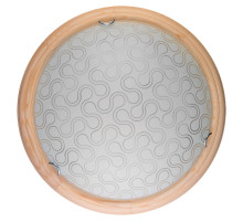 Настенно-потолочный светодиодный светильник Toplight Christina TL9520Y-00PN