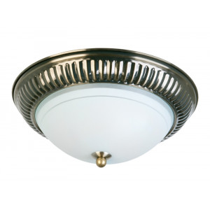 Накладной светильник Toplight Dora TL5040Y-02AB