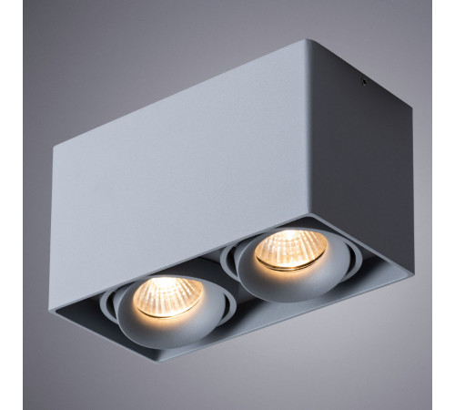 Потолочный светильник Arte Lamp Pictor A5654PL-2GY Потолочный светильник Arte Lamp Pictor A5654PL-2GY