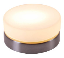 Потолочный светильник Globo Opal 48400
