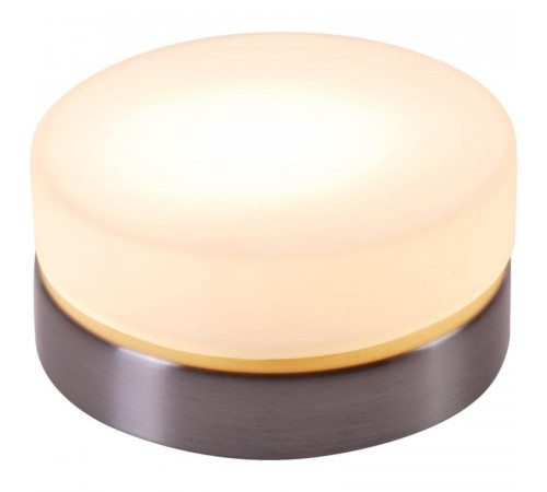 Потолочный светильник Globo Opal 48400