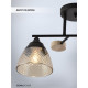 Потолочный светильник Seven Fires Aislin SF3375/2C-BK-WD-AM