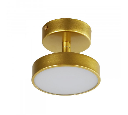 Потолочный светильник F-Promo Atma 3059-1P Потолочный светильник F-Promo Atma 3059-1P
