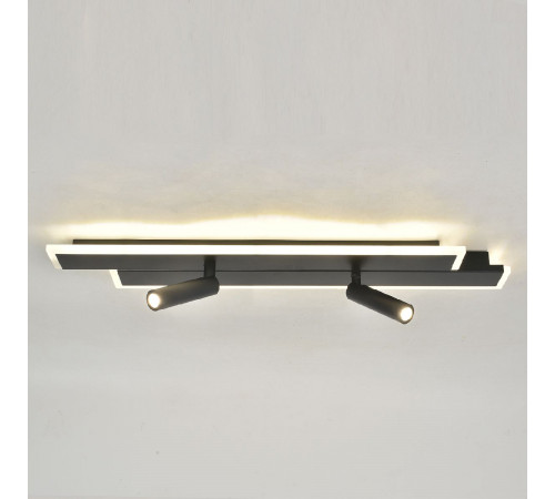 Потолочный светильник Escada 20047led 20047SMA/02LED BK Потолочный светильник Escada 20047led 20047SMA/02LED BK