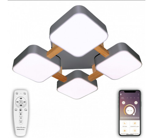 Потолочный светильник Natali Kovaltseva LED LAMPS 81324