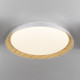 Потолочный светильник Citilux Mega CL752452G