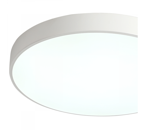Потолочный светильник Zortes Tortty ZRS.02564.96 Потолочный светильник Zortes Tortty ZRS.02564.96