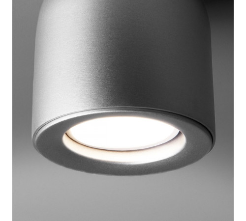 Потолочный светильник Elektrostandard Ogma DLN116 GU10 серебро 4690389153341