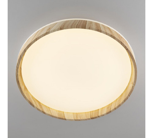 Потолочный светильник Citilux Enzo CL753452G Потолочный светильник Citilux Enzo CL753452G