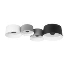 Потолочный светильник Loft IT Duo 10360/4