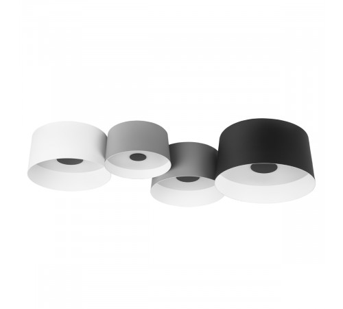 Потолочный светильник Loft IT Duo 10360/4 Потолочный светильник Loft IT Duo 10360/4