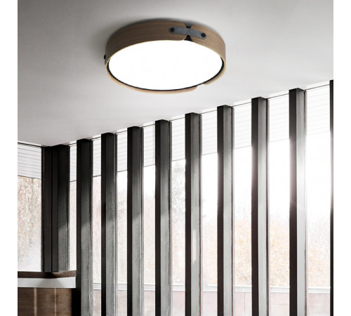 Потолочный светильник ImperiumLoft Range 101959-26 Потолочный светильник ImperiumLoft Range 101959-26