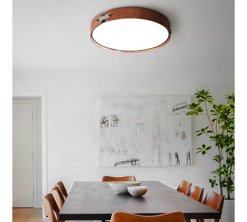 Потолочный светильник ImperiumLoft Range 101959-26 Потолочный светильник ImperiumLoft Range 101959-26