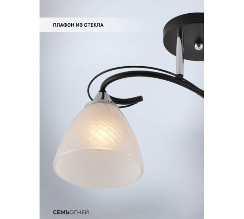 Потолочный светильник Seven Fires Nuala SF3372/2C-BK-CR-WT Потолочный светильник Seven Fires Nuala SF3372/2C-BK-CR-WT
