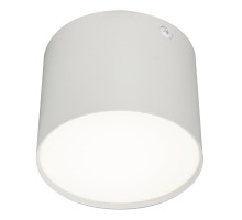 Потолочный светильник 20004 20004SMU/01LED SWH