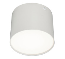 Потолочный светильник 20004 20004SMU/01LED SWH