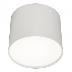 Потолочный светильник 20004 20004SMU/01LED SWH