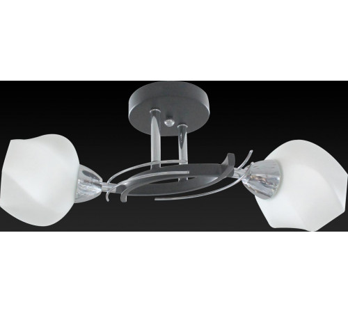 Потолочный светильник Toplight Lia TL7380X-02BC Потолочный светильник Toplight Lia TL7380X-02BC