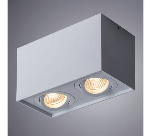 Потолочный светильник Arte Lamp Factor A5544PL-2WH Потолочный светильник Arte Lamp Factor A5544PL-2WH
