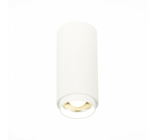 Потолочный светильник ST Luce Zoom ST600.542.10 Потолочный светильник ST Luce Zoom ST600.542.10
