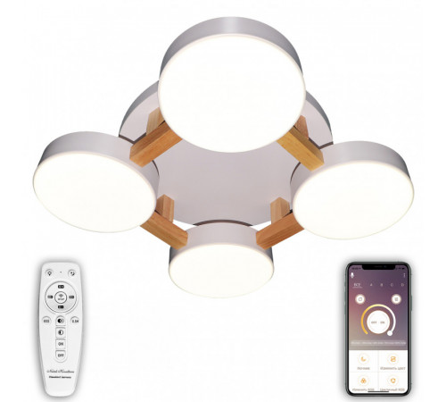 Потолочный светильник Natali Kovaltseva LED LAMPS 81325