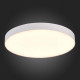 Потолочный светильник ST Luce ST606.532.96