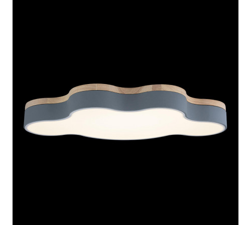 Потолочный светильник Loft IT AXEL 10005/36 Grey Потолочный светильник Loft IT AXEL 10005/36 Grey