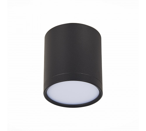 Потолочный светильник ST Luce Rene ST113.432.05 Потолочный светильник ST Luce Rene ST113.432.05