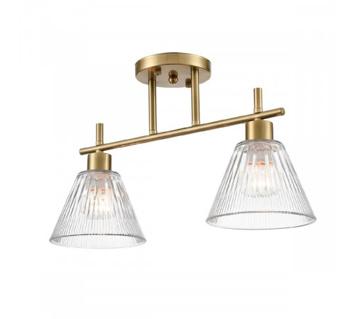 Потолочный светильник Lumion Vivian 8188/2C Потолочный светильник Lumion Vivian 8188/2C