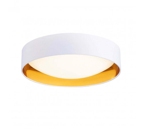 Потолочный светодиодный светильник Evoluce Orbio SLE201122-01