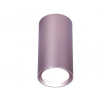 Потолочный светильник Ambrella Light Techno Spot TN220