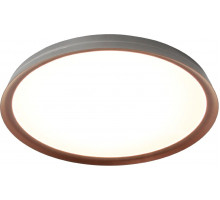 Потолочный светильник Mizi'en Titan MZ31502-430