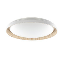 Потолочный светильник Citilux Mega CL752452G