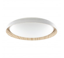 Потолочный светильник Citilux Mega CL752452G