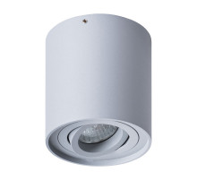 Потолочный светильник Arte Lamp Falcon A5645PL-1GY