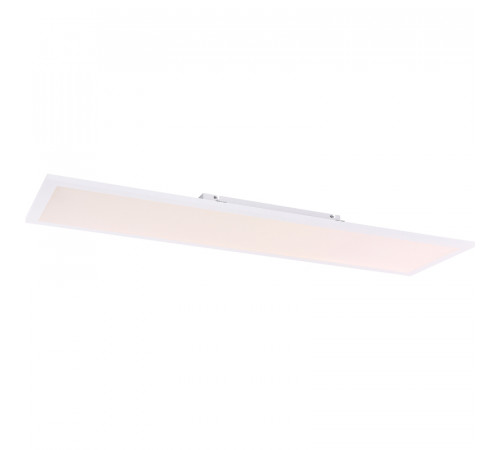 Потолочный светильник Globo Rosi 41604D5SH