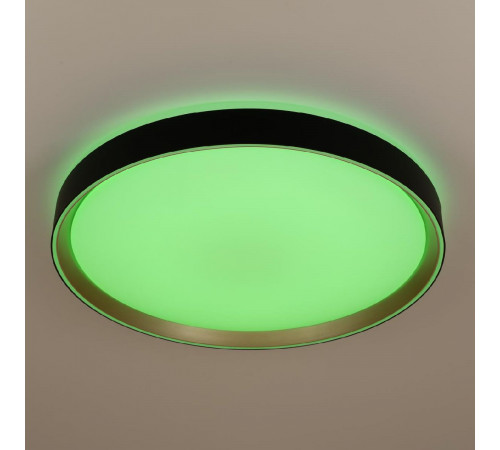 Потолочный светильник Citilux Boss CL751451G Потолочный светильник Citilux Boss CL751451G