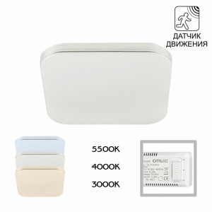Потолочный светильник Citilux Симпла CL714K24SV